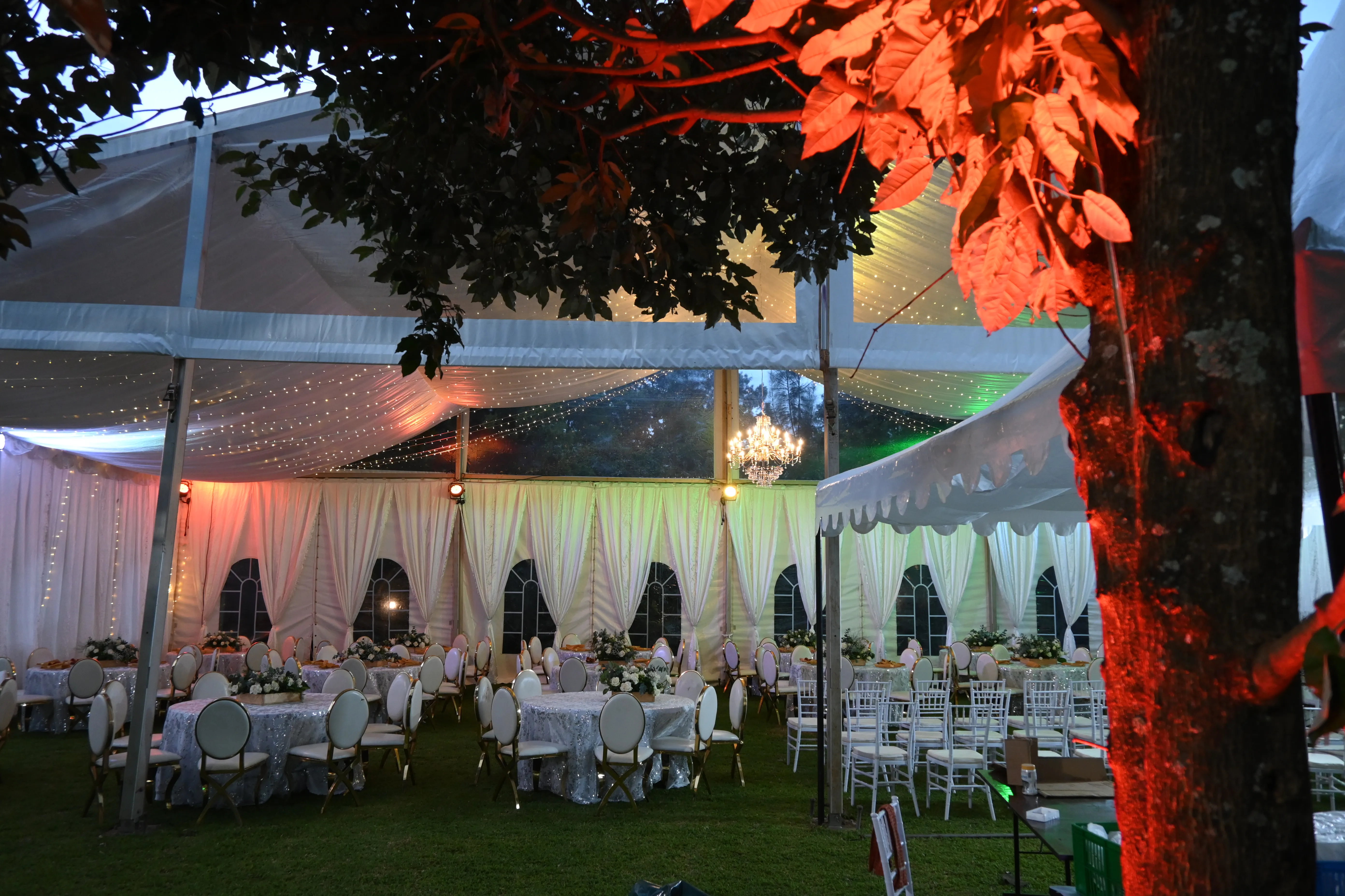Evening shot of a clear-roof marquee tent with fairy lights and chandeliers, featuring red uplighting and round tables with white linens.