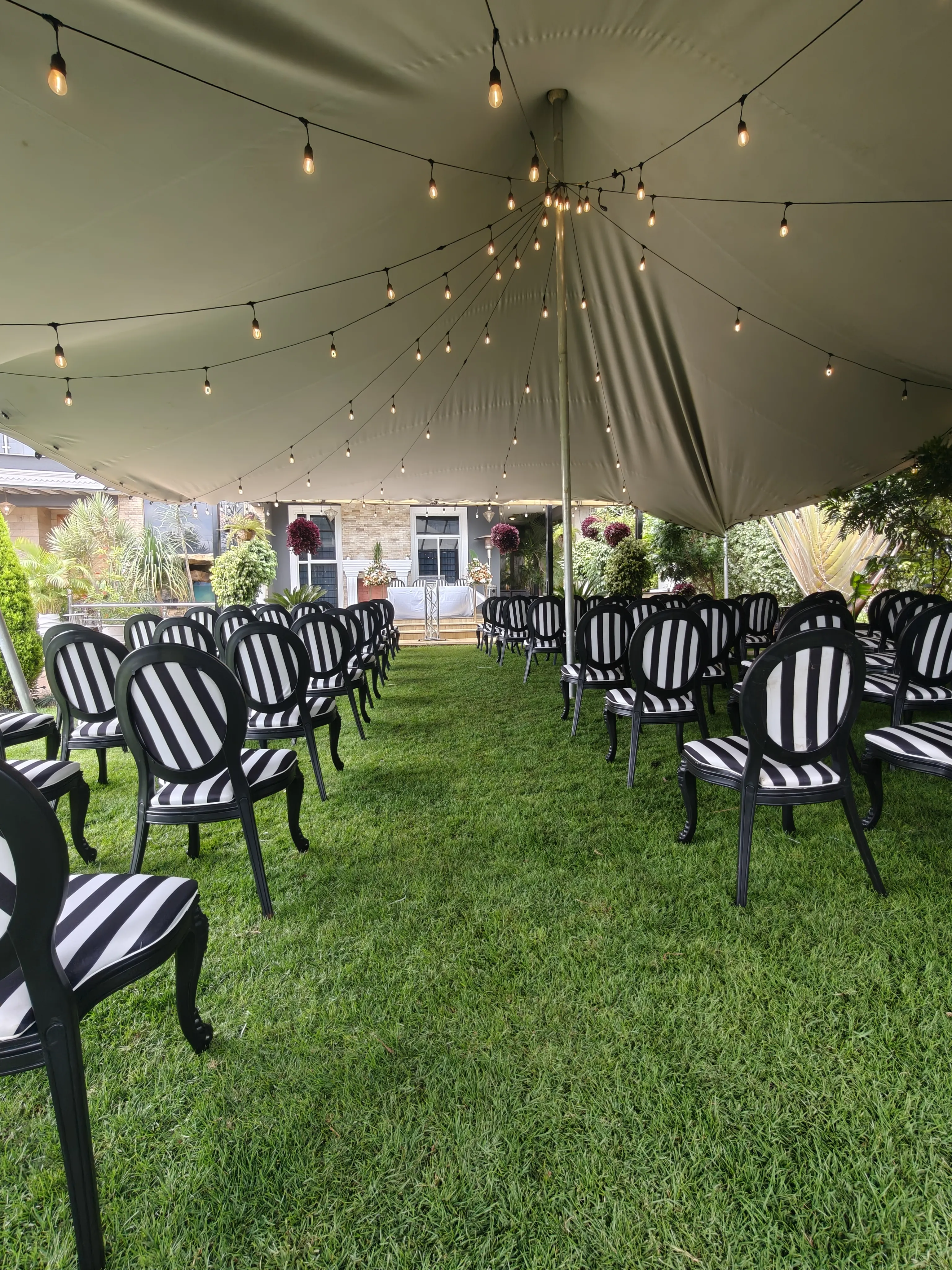 Outdoor ceremony setup on a green lawn with black and white striped Louis chairs arranged in rows under a stretch tent.